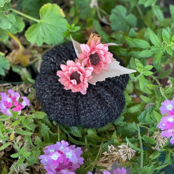 Halloween Fall Decor Handmade Crochet Pumpkins -
Set of 2 - Picture 3 of 4
